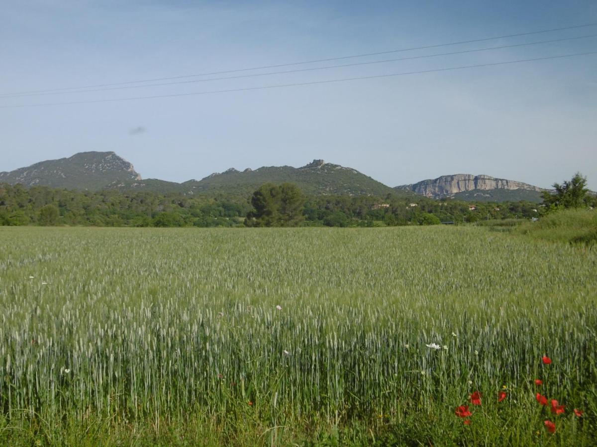 Bed and Breakfast Le Castellas Du Pic St Loup Saint-Mathieu-de-Treviers Екстер'єр фото