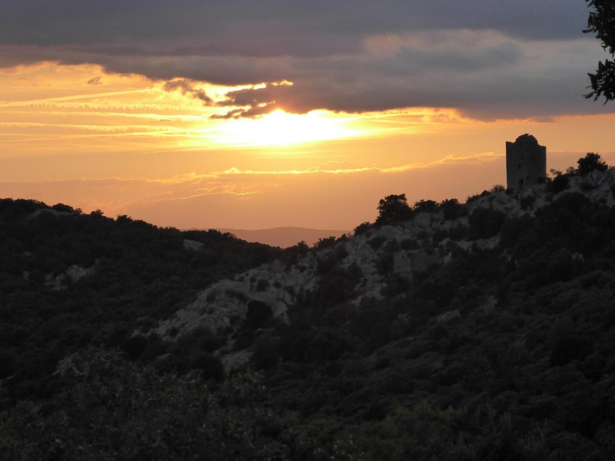 Bed and Breakfast Le Castellas Du Pic St Loup Saint-Mathieu-de-Treviers Екстер'єр фото