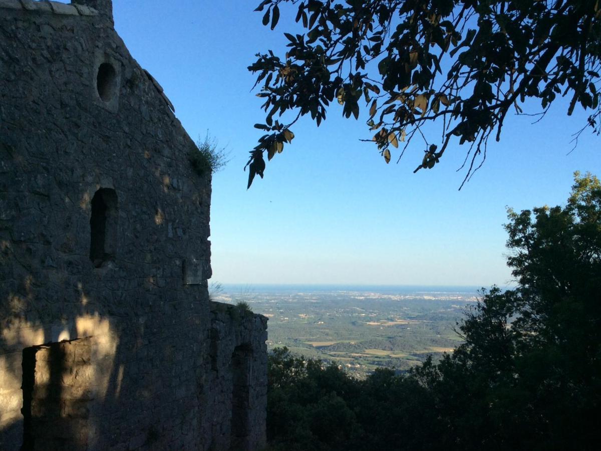 Bed and Breakfast Le Castellas Du Pic St Loup Saint-Mathieu-de-Treviers Екстер'єр фото