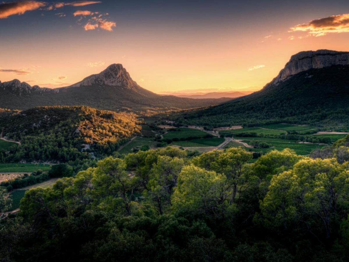 Bed and Breakfast Le Castellas Du Pic St Loup Saint-Mathieu-de-Treviers Екстер'єр фото