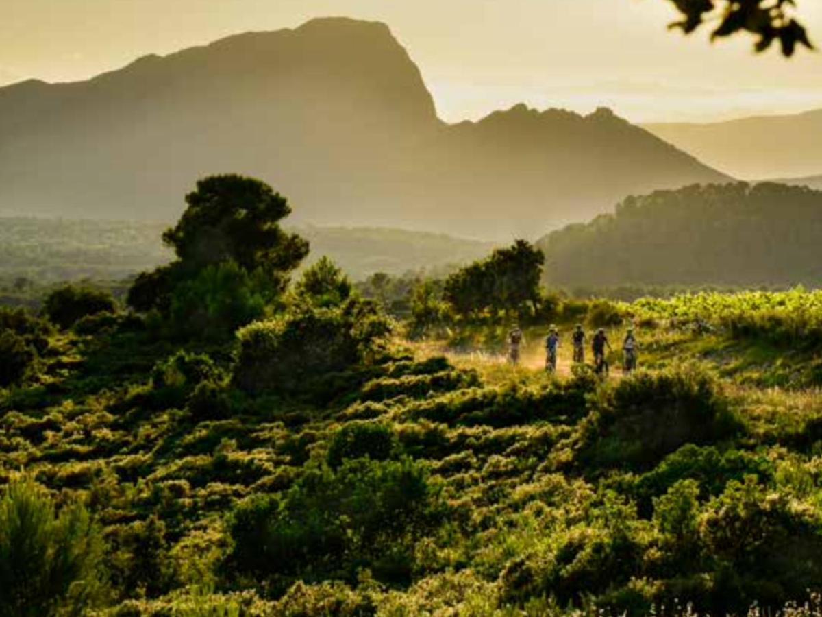 Bed and Breakfast Le Castellas Du Pic St Loup Saint-Mathieu-de-Treviers Екстер'єр фото