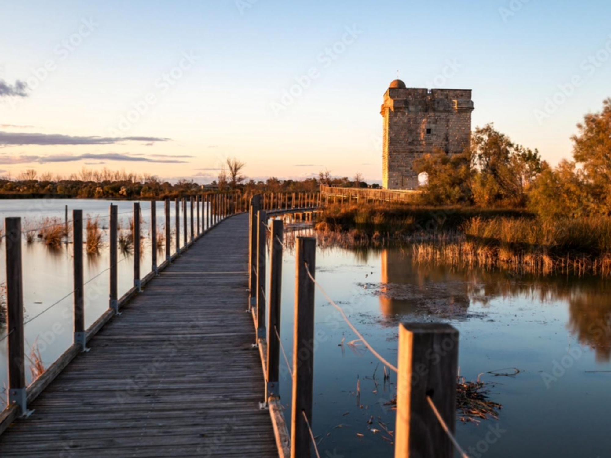 Bed and Breakfast Le Castellas Du Pic St Loup Saint-Mathieu-de-Treviers Екстер'єр фото